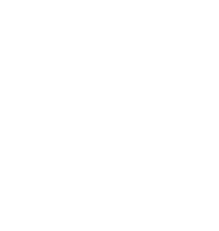 f&b asterisk white nofill